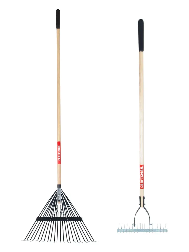 craftsman-2-piece-raking-set-with-lawn-thatching-rakes-wood-handles-with-cushion image 1