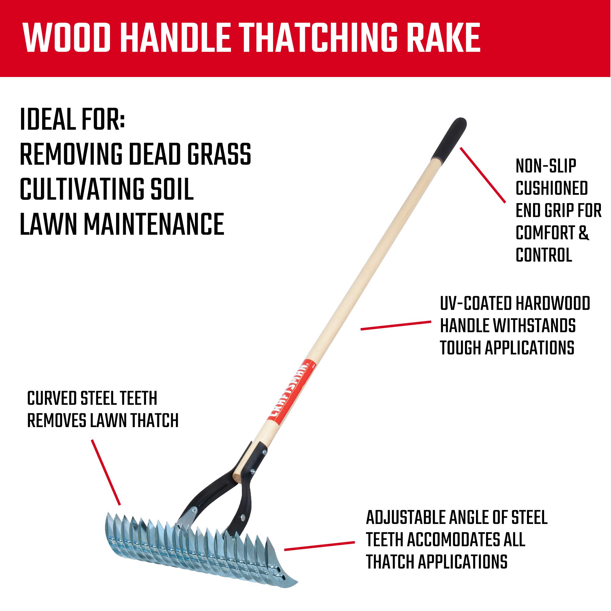 craftsman-2-piece-raking-set-with-lawn-thatching-rakes-wood-handles-with-cushion image 4