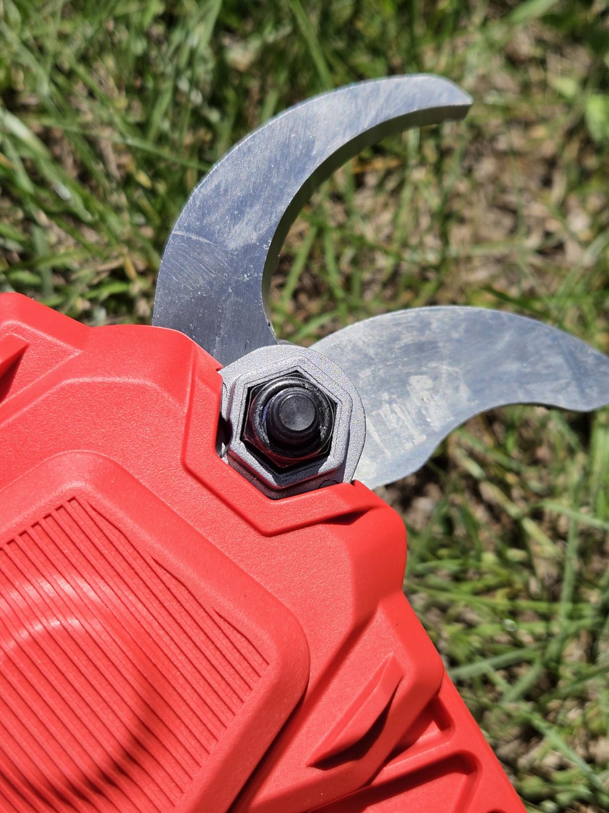 Game changer for pruning