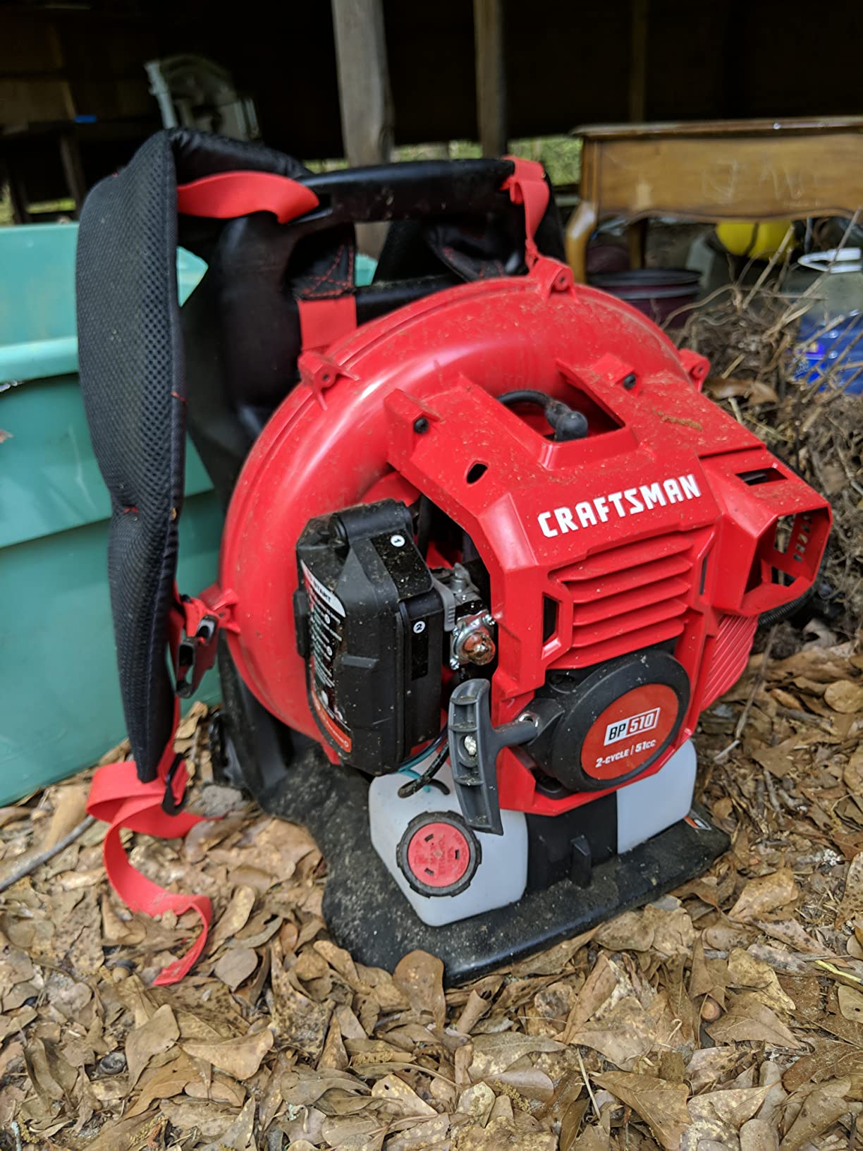 Beast of a blower