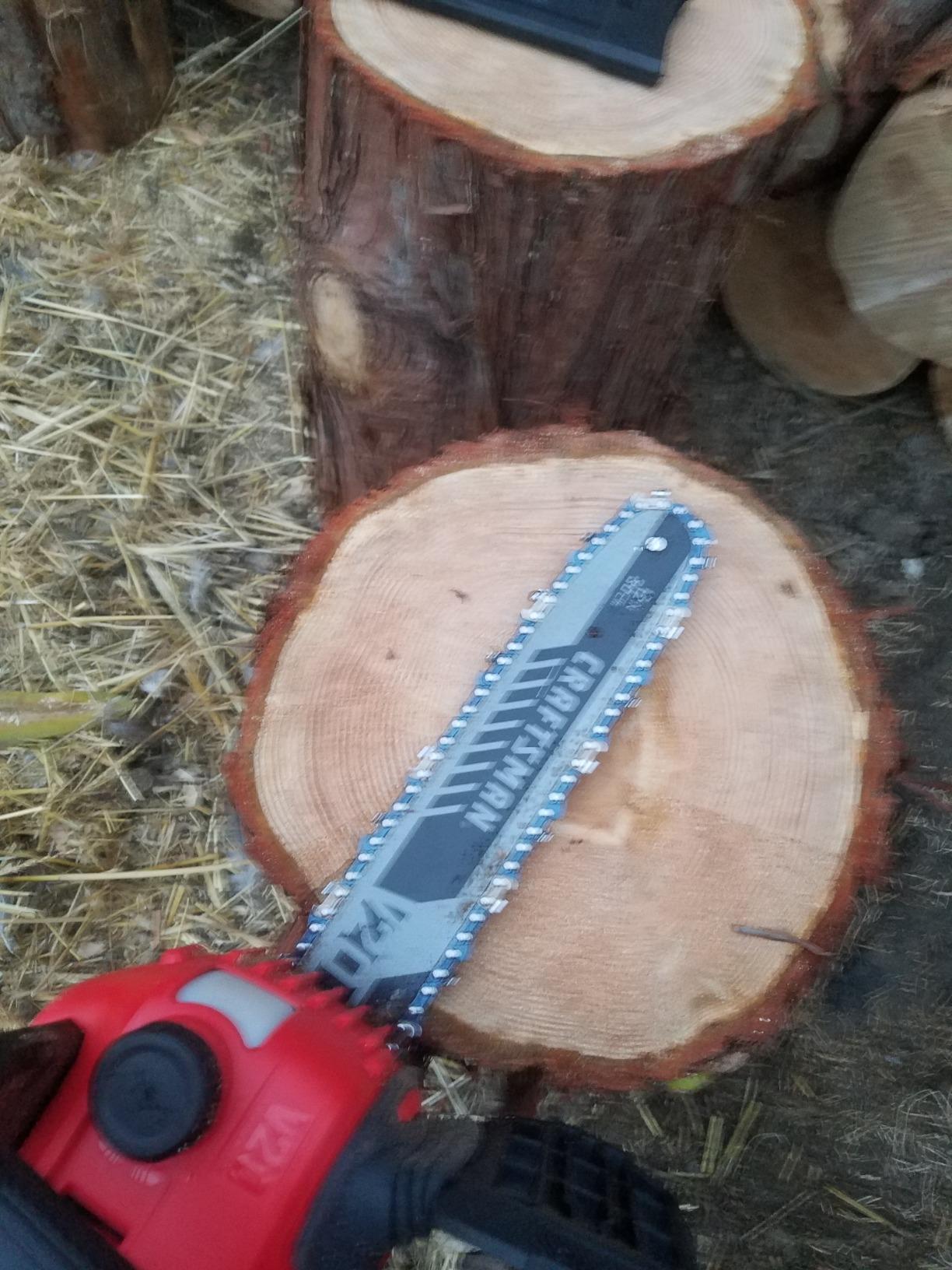 Good chainsaw for light work
