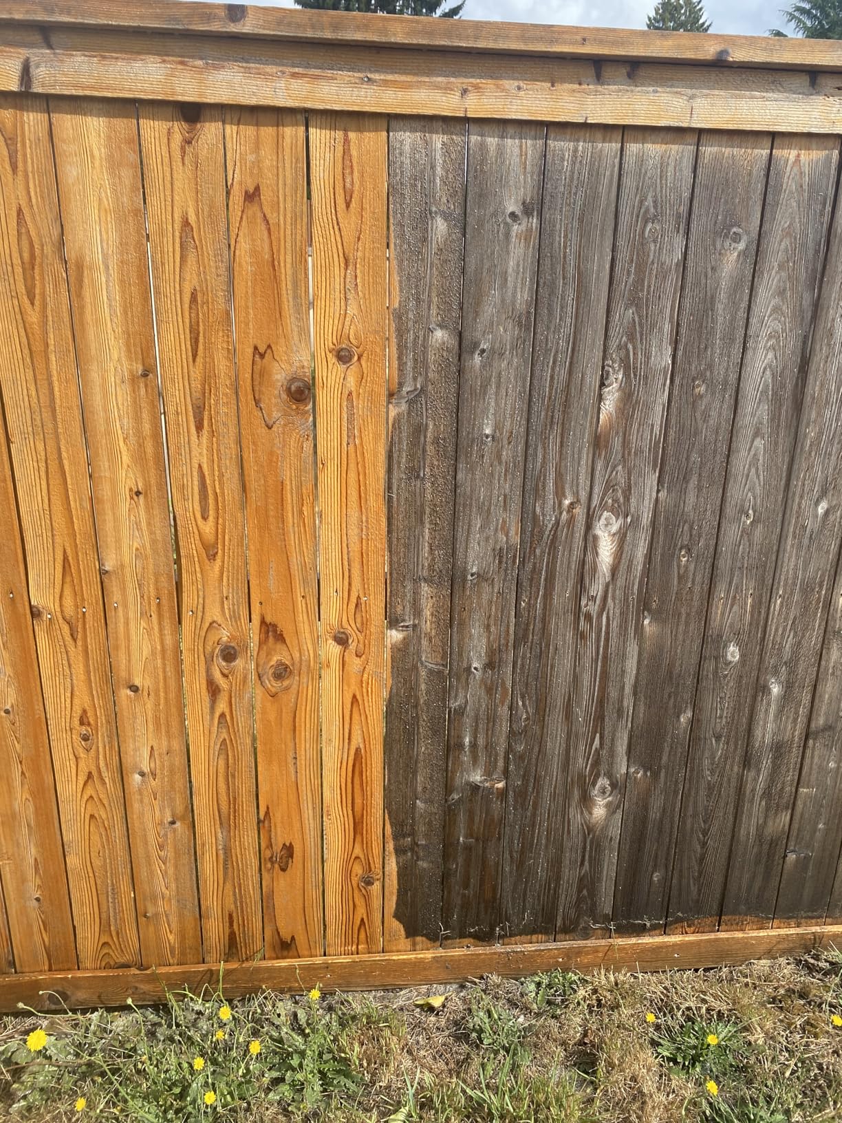 Okay, but not amazing