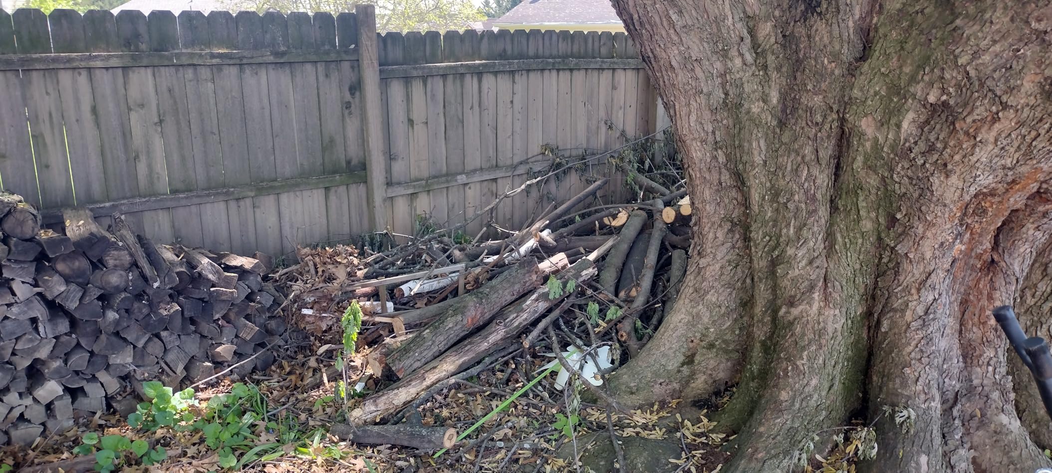 Solid chainsaw, but a bit heavy