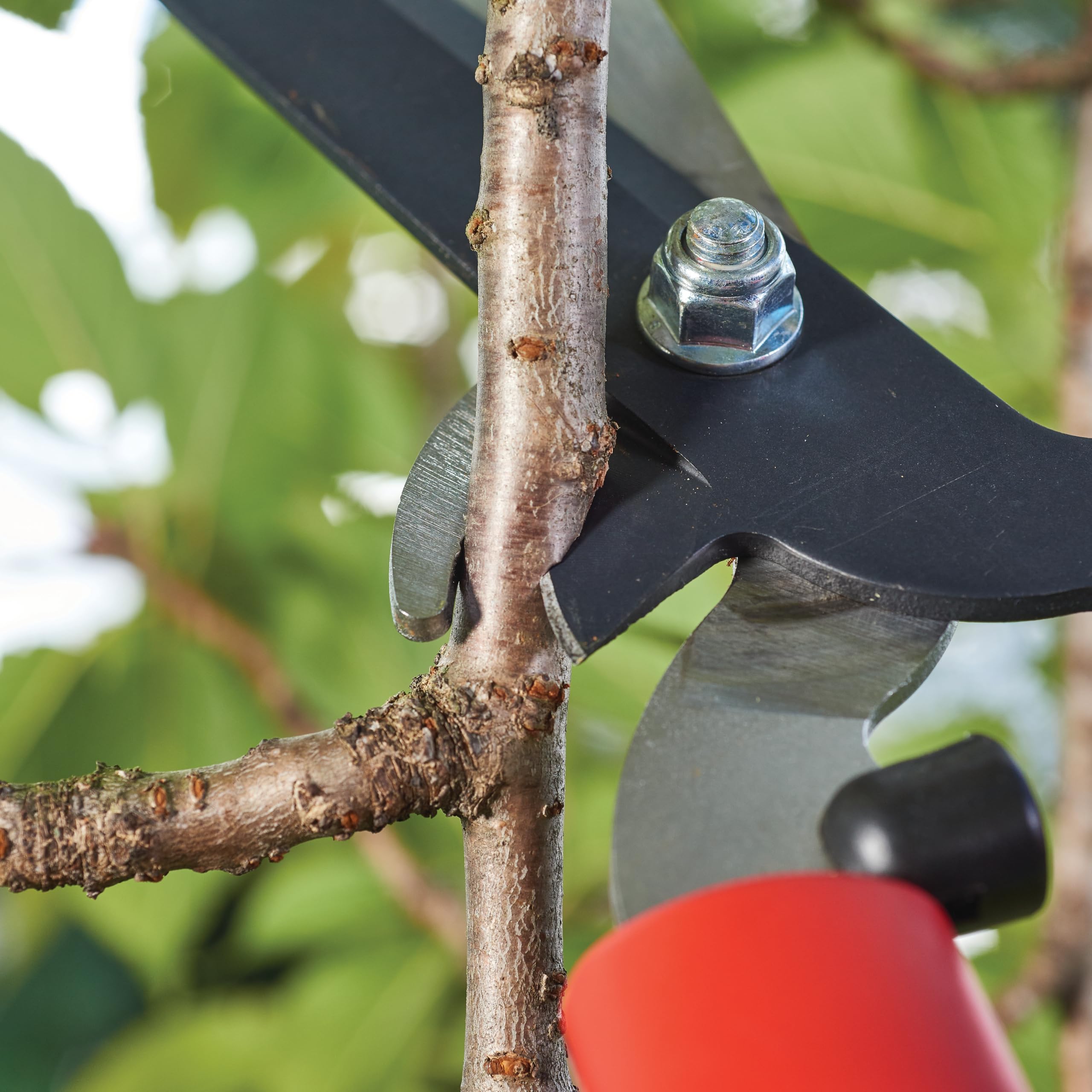 craftsman-9-in-manual-multi-purpose-hedge-shears-with-integrated-bypass-lopper image 4