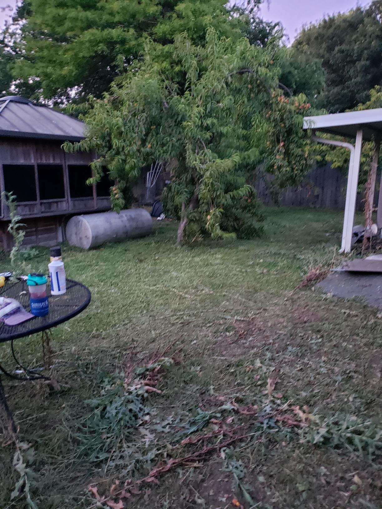Mows down weeds like crazy