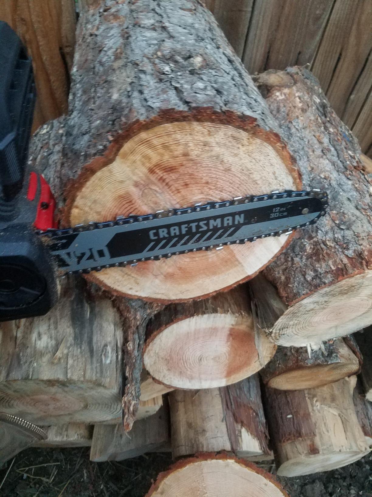 Great little chainsaw