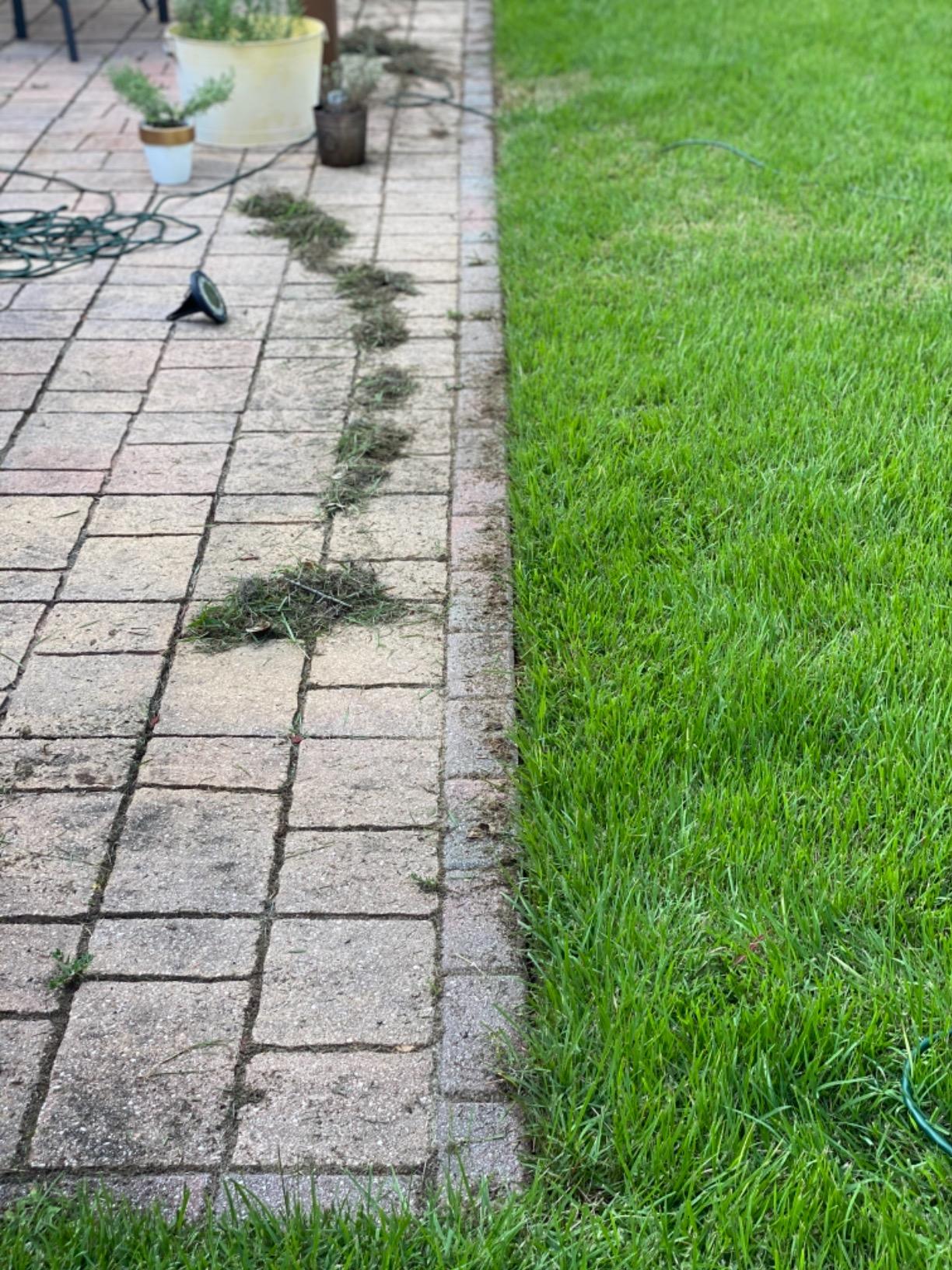 Excellent edger for the price