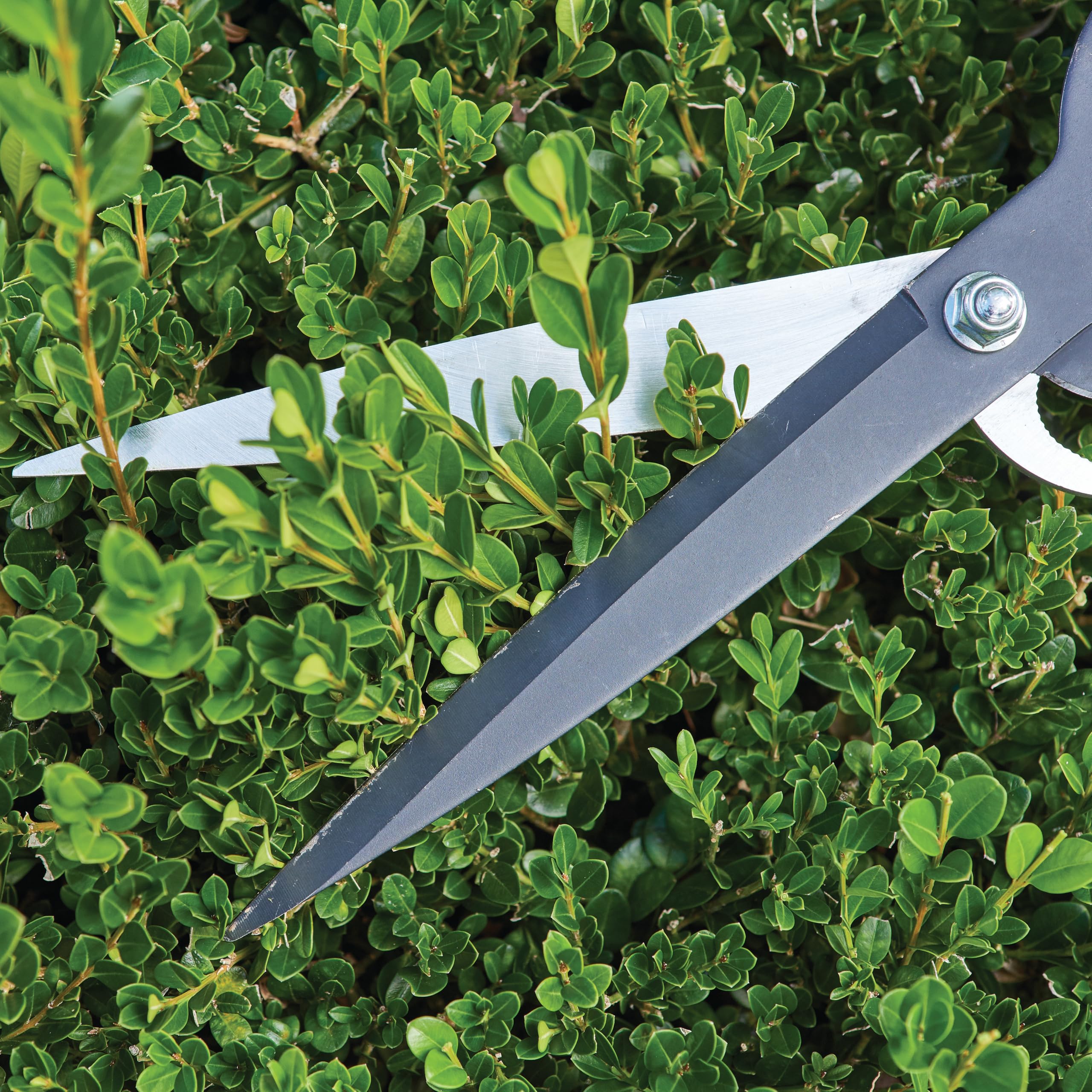 craftsman-9-in-manual-multi-purpose-hedge-shears-with-integrated-bypass-lopper image 5