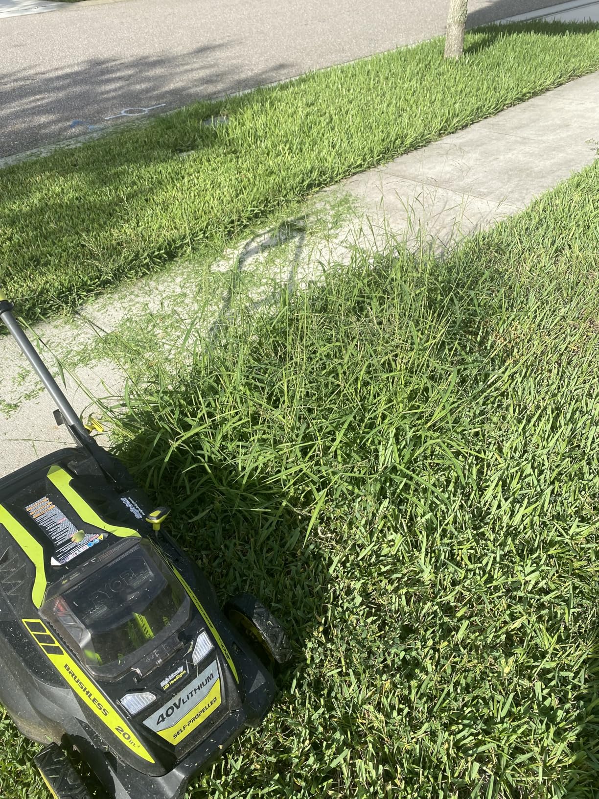 Good little trimmer for the price