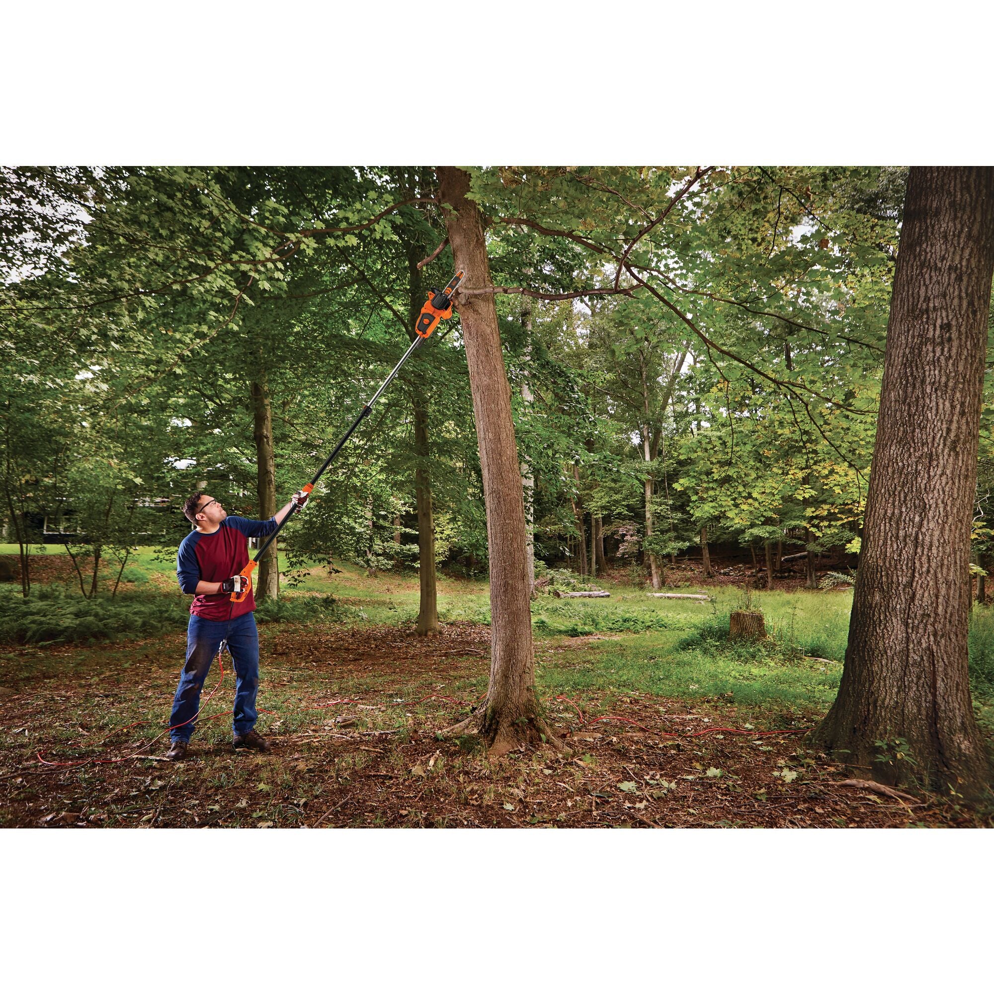 black-decker-8-amp-10-inch-2-in-1-electric-pole-chainsaw-with-extension-pole image 2