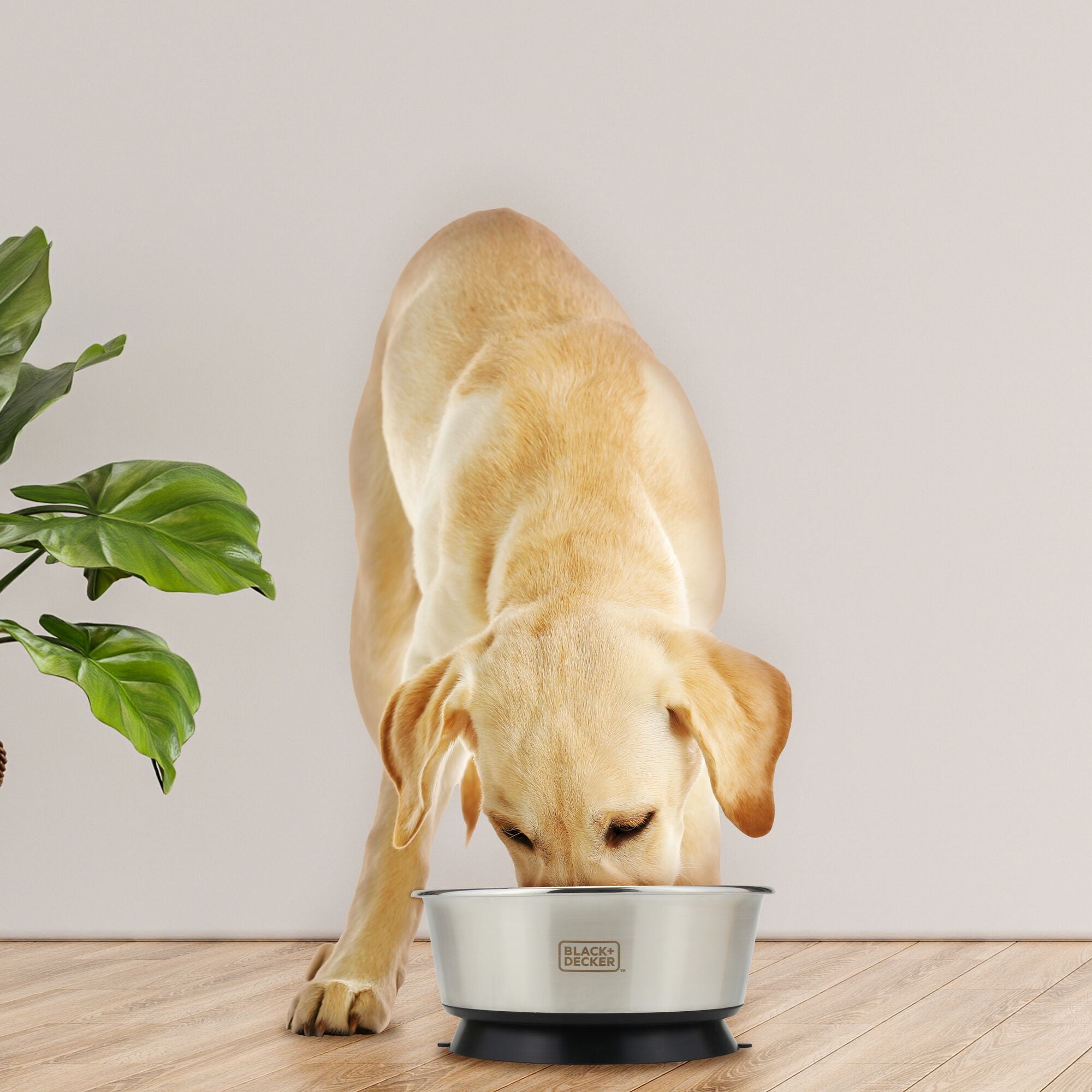 black-decker-suction-cup-pet-bowl-8-26-in-stainless-steel-5-cup-capacity image 2