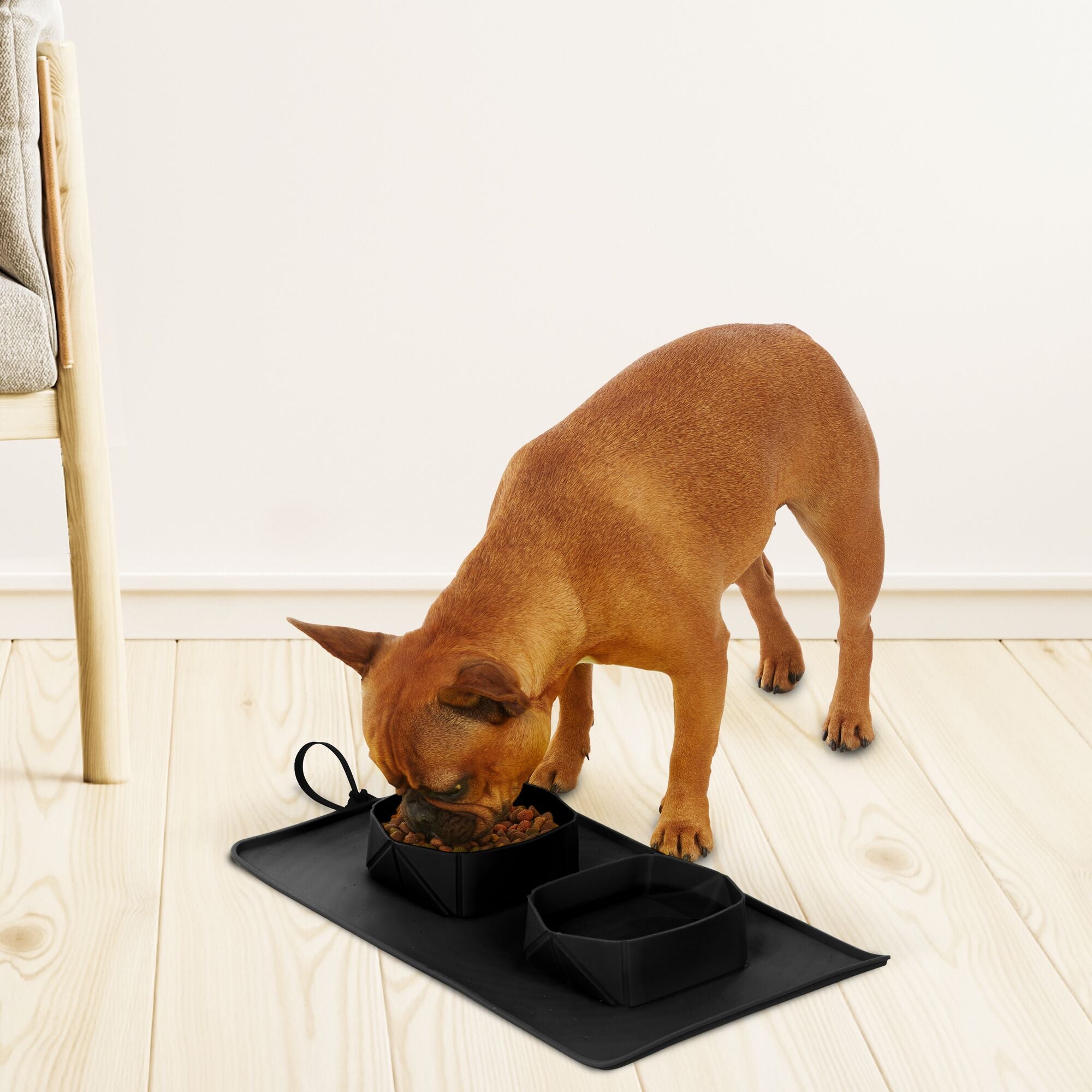 black-decker-double-pet-travel-bowl-2x2-cup-silicone-foldable image 2